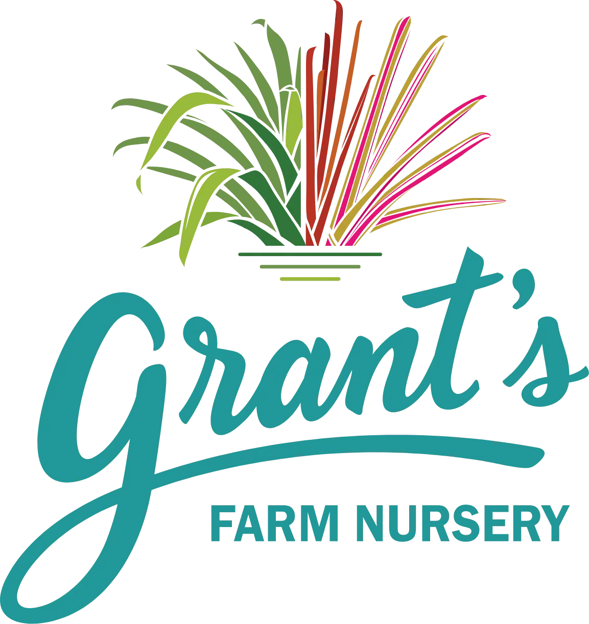 Wholesale Bromeliad Nursery Farm | Grants Farm Nursery